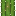 仙人掌
