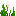 海草