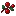 甜浆果